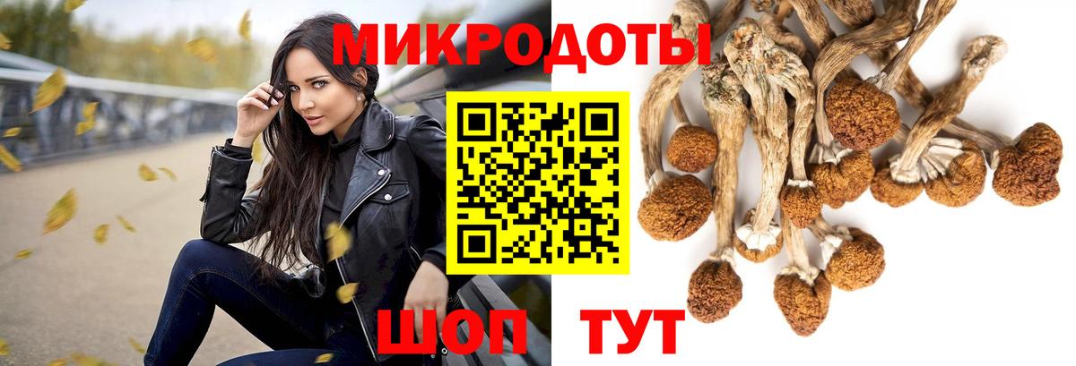 Мичуринск  Псилоцибиновые грибы GOLDEN TEACHER  Вход с VPN 